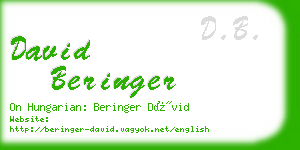 david beringer business card